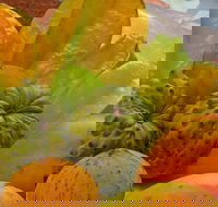 Private Half Day Tour Exclusive World Heritage Rainforest and Waterfall Tour from Cairns - Hotel Accommodation