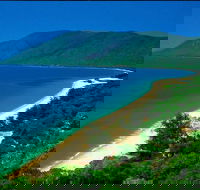 Cairns Reef and Rainforest Combo Daintree Rainforest and the Great Barrier Reef - Hotel Accommodation