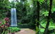 Paronella Park And Millaa Millaa Falls Full-day Tour From Cairns - thumb 3