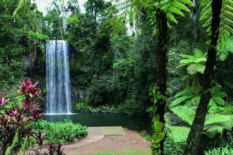 Paronella Park And Millaa Millaa Falls Full-day Tour From Cairns - Hotel Accommodation 3