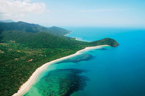 Cape Tribulation, Mossman Gorge, And Daintree Rainforest Premium Day Tour - Hotel Accommodation 2