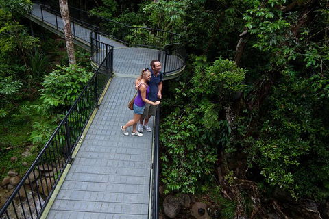Cape Tribulation, Mossman Gorge, And Daintree Rainforest Premium Day Tour - Hotel Accommodation 3