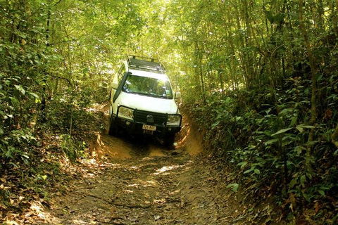 Barron Gorge And Kuranda National Park Half Day Rainforest And Waterfall 4WD Tour From Cairns - Hotel Accommodation 2