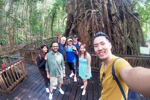Barron Gorge And Kuranda National Park Half Day Rainforest And Waterfall 4WD Tour From Cairns - Hotel Accommodation 5