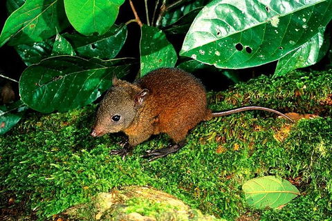 3-Day Small-Group Tour Of North Queensland With Pick Up - Hotel Accommodation 0
