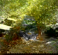 Cairns National Park Rainforest and Waterfall Small Group Tour Shore Excursion - Hotel Accommodation