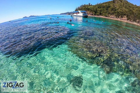 Whitehaven Beach Day Tour With Snorkel In Whitsundays Island - Hotel Accommodation 5