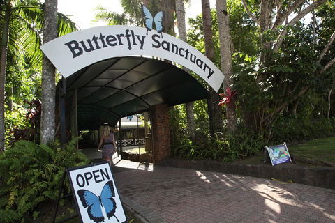 Kuranda Day Trip From Port Douglas Upgrade To Skyrail & Scenic Train Available - Hotel Accommodation 0