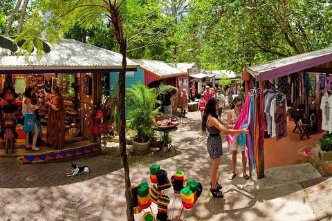 Kuranda Day Trip From Port Douglas Upgrade To Skyrail & Scenic Train Available - Hotel Accommodation 2