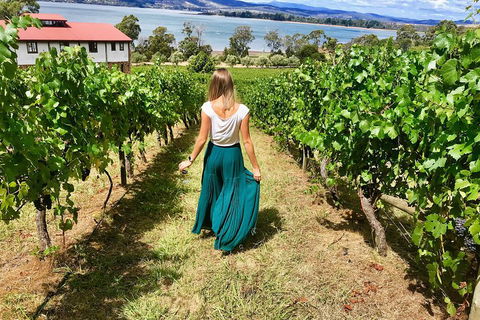 Tamar Valley Wine Tour With Lunch - Hotel Accommodation 2