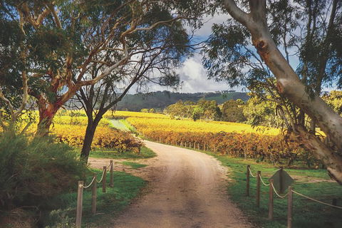 McLaren Vale Winery Small Group Tour With Wine Tasting And Lunch - Hotel Accommodation 1