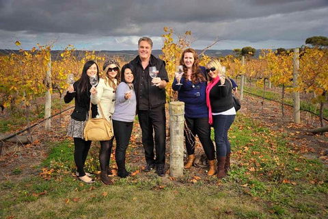McLaren Vale Winery Small Group Tour With Wine Tasting And Lunch - Hotel Accommodation 3