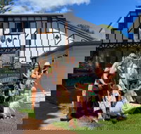 Mt Tamborine ScenicRim Deluxe Wine Tasting and Sightseeeing Tour - Hotel Accommodation