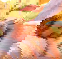 Massage relaxation Deep Tissue Whole Bodysports Etc.by Male Therapist - Hotel Accommodation