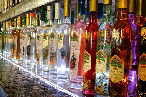 Bar & Brewery Tour - Hotel Accommodation 4