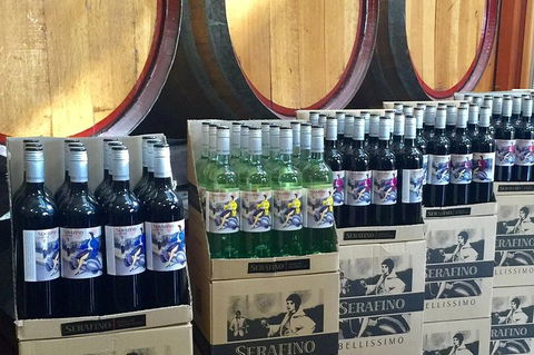 Mclaren Vale Luxury Full Day Small Group Wine Tour - Hotel Accommodation 0