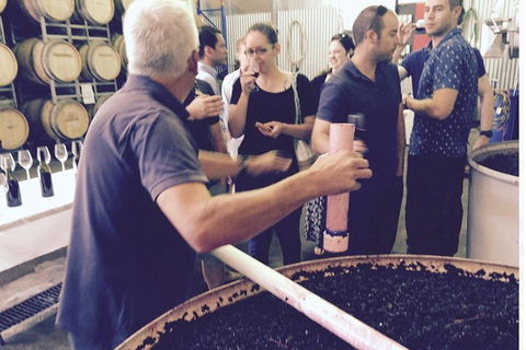 Luxury Private Mclaren Vale Wine Tour - Hotel Accommodation 4