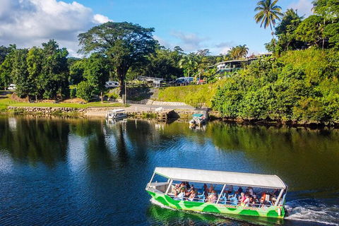 Afternoon Half-Day Daintree Rainforest And River Tour - Hotel Accommodation 1
