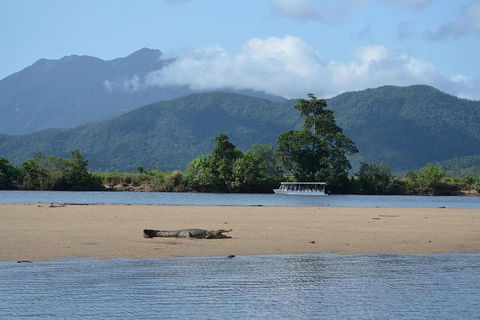 Afternoon Half-Day Daintree Rainforest And River Tour - Hotel Accommodation 2
