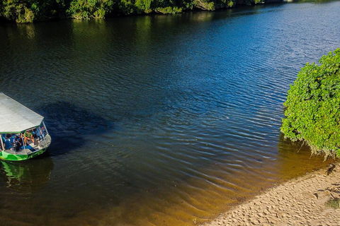 Afternoon Half-Day Daintree Rainforest And River Tour - Hotel Accommodation 3
