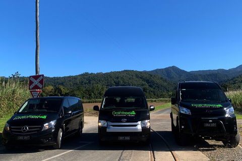 Afternoon Half-Day Daintree Rainforest And River Tour - Hotel Accommodation 4