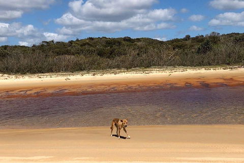 Pippies 3 Days 2 Nights Fraser Island Tour - Hotel Accommodation 2