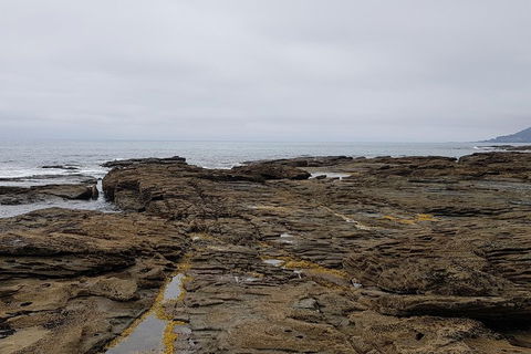 Luxury Private Great Ocean Road Tour Up To 11 People - Entire Vehicle - Hotel Accommodation 1