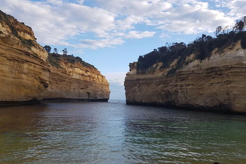 Luxury Private Great Ocean Road Tour Up To 11 People - Entire Vehicle - Hotel Accommodation 2