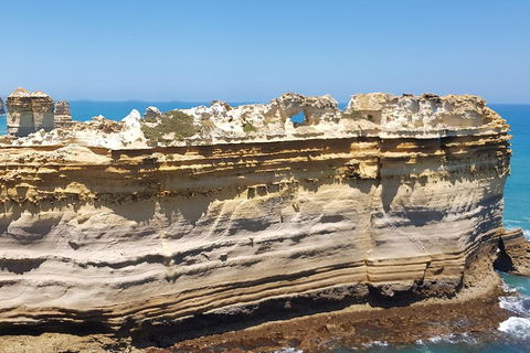 Luxury Private Great Ocean Road Tour Up To 11 People - Entire Vehicle - Hotel Accommodation 4