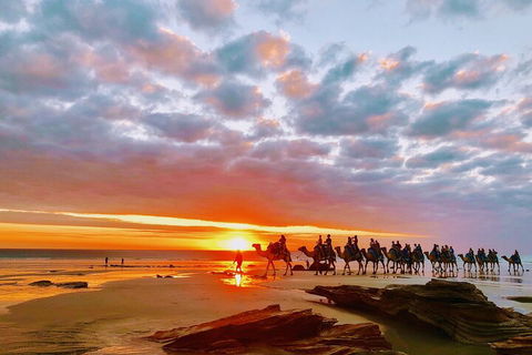1 Hour Broome Sunset Camel Tour - Hotel Accommodation 0