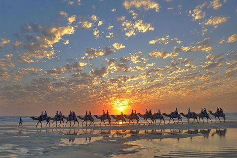 1 Hour Broome Sunset Camel Tour - Hotel Accommodation 1