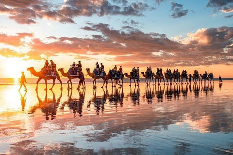 1 Hour Broome Sunset Camel Tour - Hotel Accommodation 2