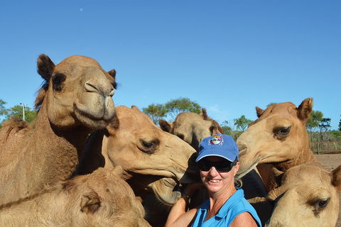 1 Hour Broome Sunset Camel Tour - Hotel Accommodation 3
