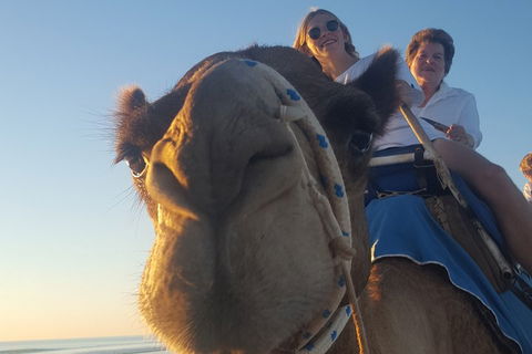 1 Hour Broome Sunset Camel Tour - Hotel Accommodation 4