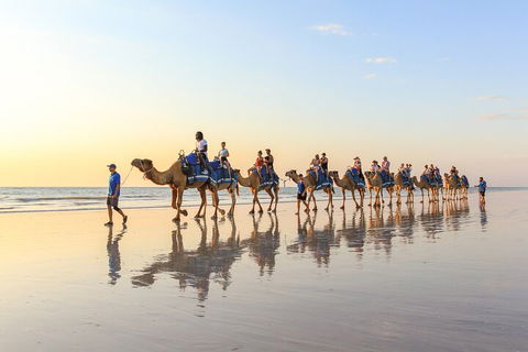 1 Hour Broome Sunset Camel Tour - Hotel Accommodation 5