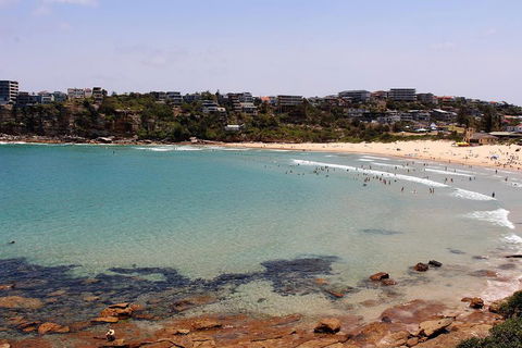 Half Day Manly Beach And More - Hotel Accommodation 2