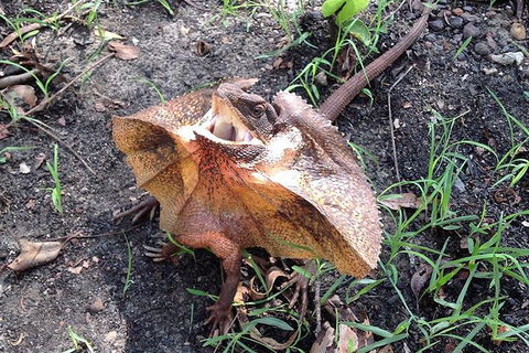 Litchfield National Park And Jumping Crocodile Cruise - Hotel Accommodation 1