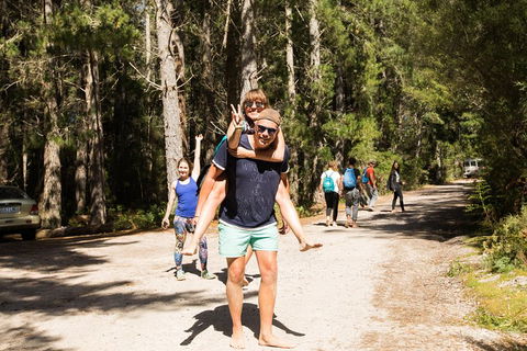 7-Day Best Of Tasmania Adventure Experience From Hobart (flexible Ticket) - Hotel Accommodation 5