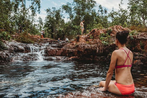 Litchfield National Park Day Tour From Darwin With Waterfalls And Buley Rockhole - Hotel Accommodation 0