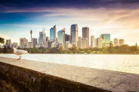 Private Sydney City And Bondi Beach Half Day Tour - Hotel Accommodation 2