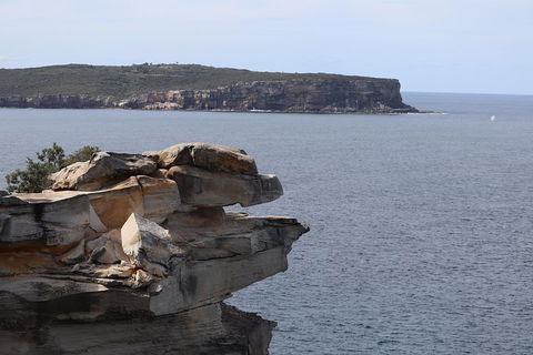 Private Sydney City And Bondi Beach Half Day Tour - Hotel Accommodation 3