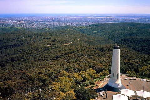 Adelaide Shore Excursion: Adelaide City Tour By Private Limo - Hotel Accommodation 3