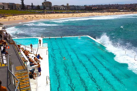 Private Sydney Half Day Tour Including Sydney Opera House And Bondi Beach - Hotel Accommodation 1