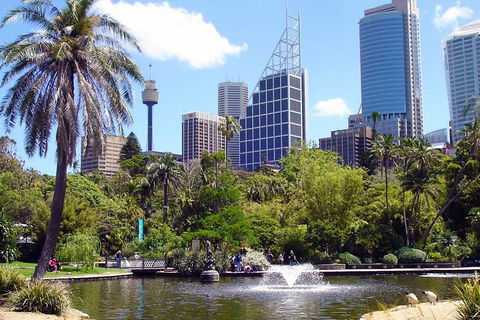 Private Sydney Half Day Tour Including Sydney Opera House And Bondi Beach - Hotel Accommodation 4