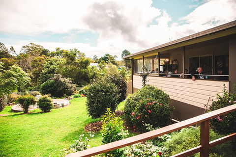 Full-day Springbrook National Park Tour From The Gold Coast - Hotel Accommodation 2