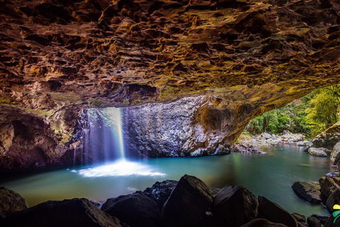 Full-day Springbrook National Park Tour From The Gold Coast - Hotel Accommodation 3