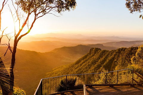 O'Reilly's & Lamington National Park Incl. Alpaca Farm + Vineyard - Hotel Accommodation 0
