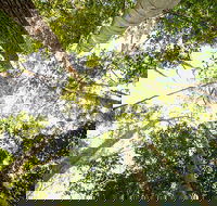 Fraser Island 4WD Tour from Noosa - Hotel Accommodation