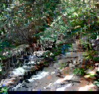 Fraser Island 4WD Tour from Rainbow Beach - Hotel Accommodation