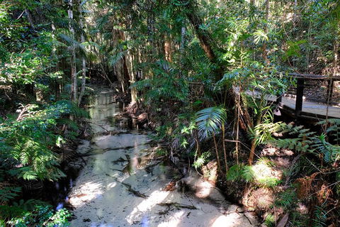 Fraser Island 4WD Tour From Rainbow Beach - Hotel Accommodation 0